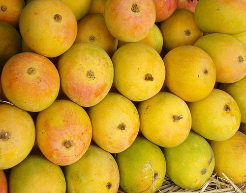 Alphonso